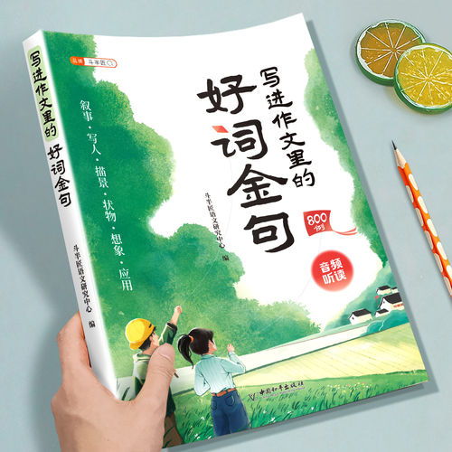 作文金句800例小学生好词好句