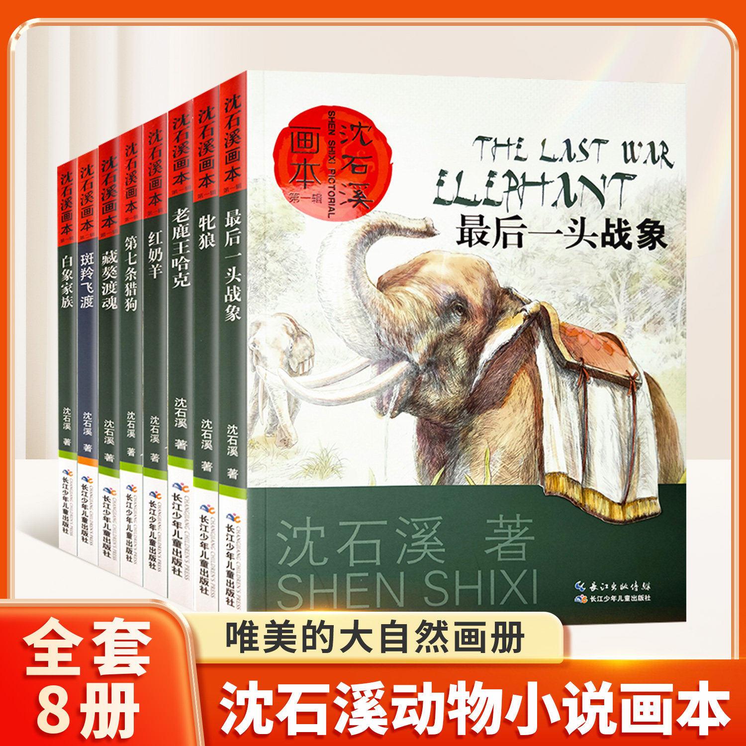 沈石溪动物小说全集正版套装画本第一辑8册的书大全系列儿童文学 最后一头战象小学生四五六年级课外阅读书籍经典书目斑羚飞渡