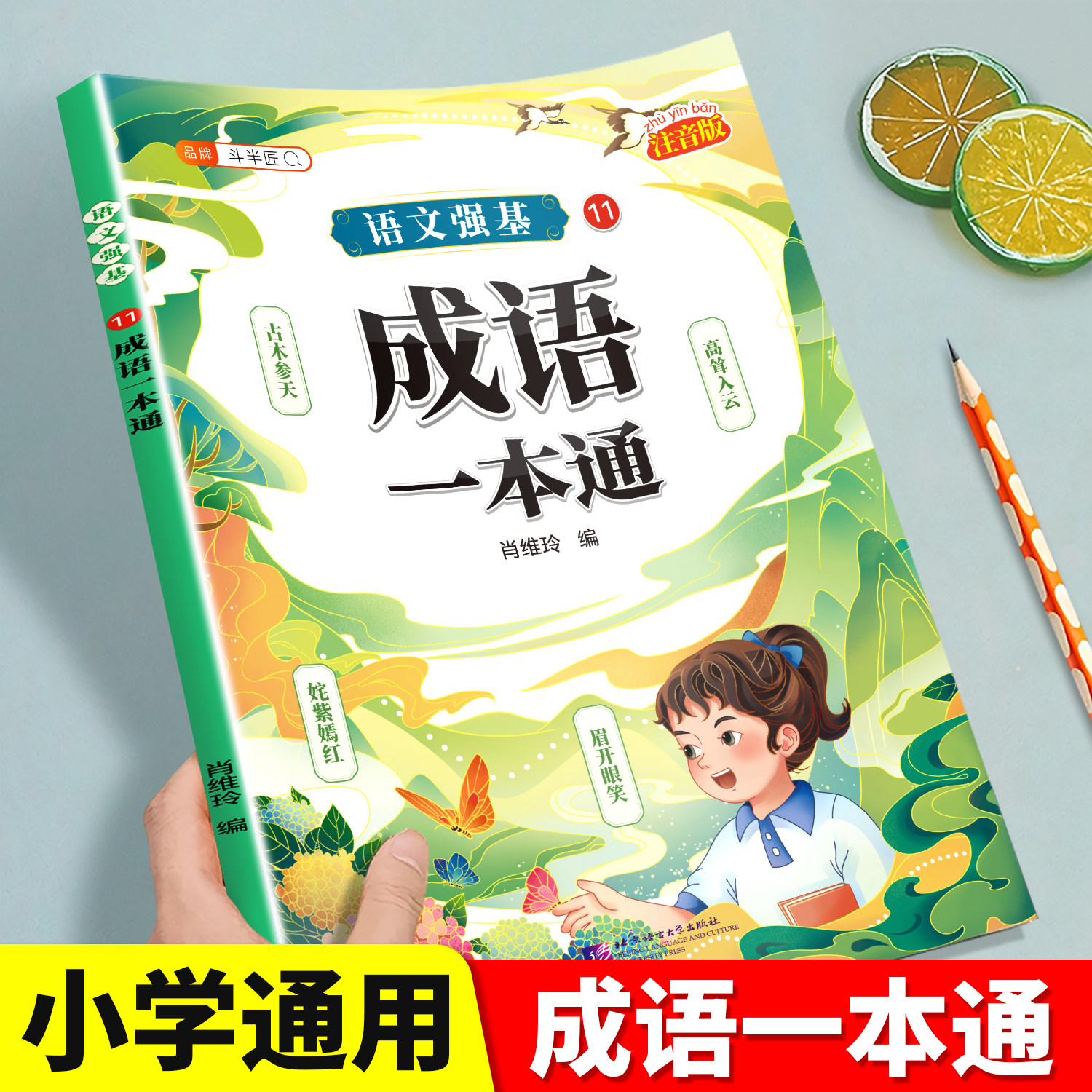 小学生成语积累大全彩图注音