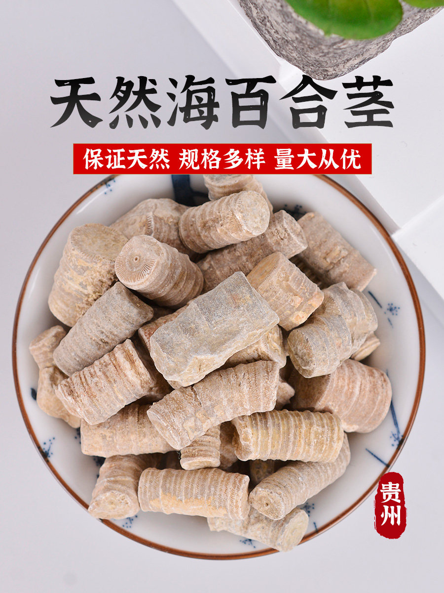 天然海百合茎原石毛料雕刻玉器摆件科普教学矿物标本水晶奇石原料