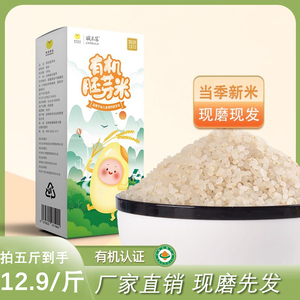 当季有机胚芽米新米东北谷物米辅食胚芽米大米粥米现磨现发500g