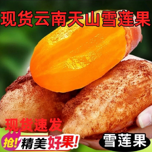 现货速发雪莲果精选好果子