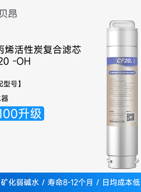 贝昂 T-R100升级 1号滤芯 聚丙烯活性炭复合滤芯CF20-OH