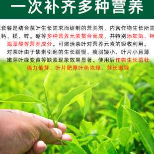 茶叶专用肥料叶面肥液体缓释氮肥水溶肥茶树催芽素破眠剂复合肥料