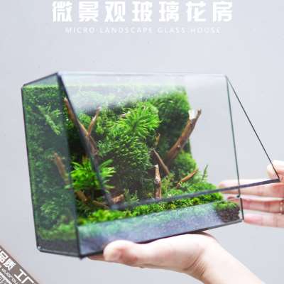 微景观几何玻璃花房苔藓墙玻璃缸桌面生态瓶造景植物微缩森林景观