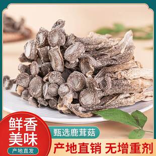 菌蘑煲汤 包邮 云南特产鹿茸菇特级野生干货500g无硫装 袋