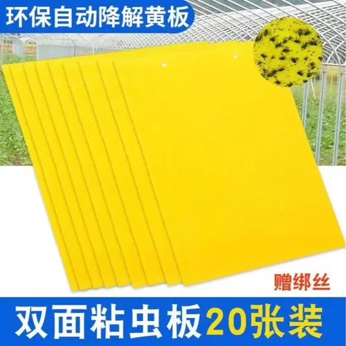 双面强力黄蓝粘虫板果园大棚诱捕果蝇小飞虫神器