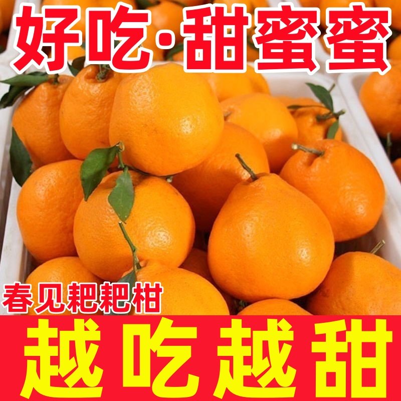 四川正宗春见耙耙柑新鲜柑橘水果橘子批发丑八怪整箱桔子包邮当季,水产肉类/新鲜蔬果/熟食,桔子,淘宝优惠券,粉丝福利购,淘宝优惠卷