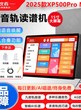 XP500ProMax智能AI语音唤醒15寸大屏九音轨电吹管读谱机