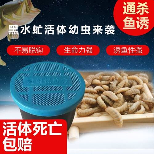 蛆虫活虫野钓黑水虻幼虫鱼饵钓鱼蚯蚓鸟龟营养饲料通杀鱼饵虫子