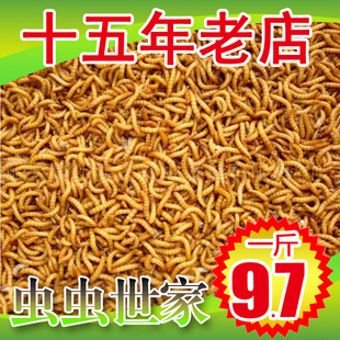 黄粉虫面包虫活体 活虫鲜活虫种虫 鸟食鱼食活体仓鼠乌龟饲料鱼饵