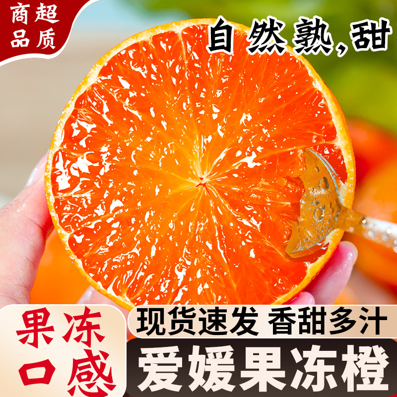 当季热销·爱媛果冻橙·香甜多汁