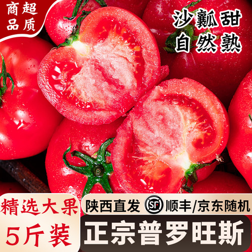 普罗旺斯西红柿沙瓤多汁自然熟