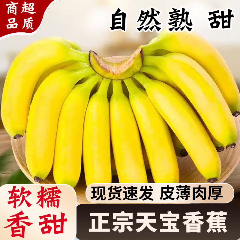 天宝香蕉自然熟香甜现货福建时令新鲜水果当季整箱小米蕉banana