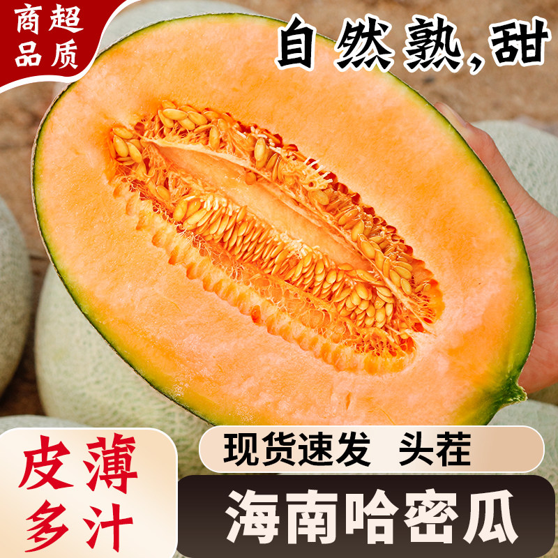 正宗海南哈密瓜玲珑网纹蜜瓜当季现摘脆甜多汁皮薄新鲜香甜整箱装
