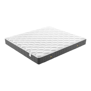 椰棕床垫厚20cm家用弹簧床垫硬垫席梦思CD135政府补贴