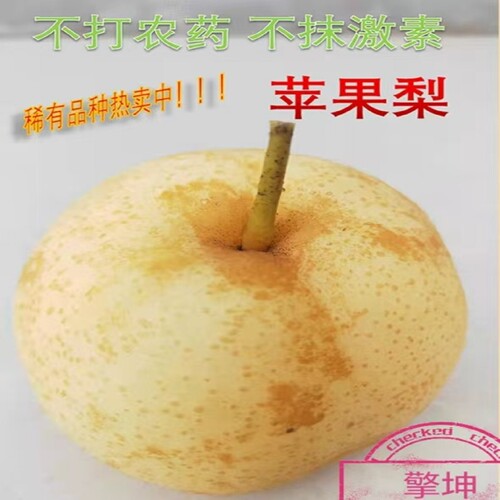 擎坤原生态无污染苹果梨
