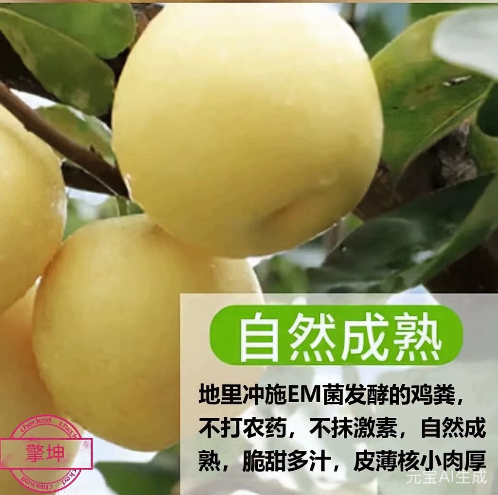 擎坤原生态皇冠梨当季水果新鲜梨子自然成熟脆甜多汁自家果园直发