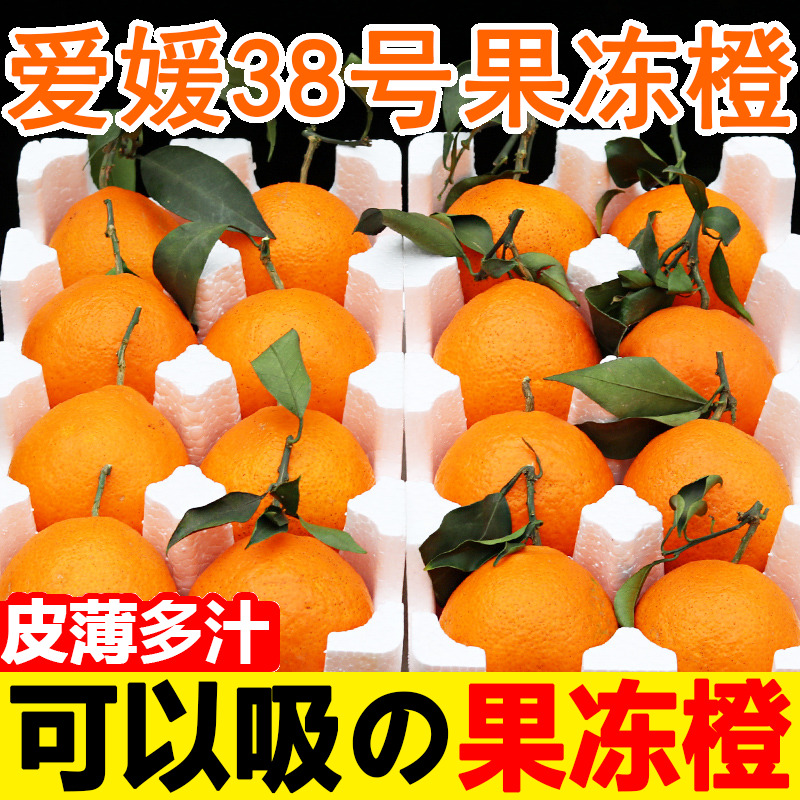 四川眉山爱媛38号果冻橙橘子