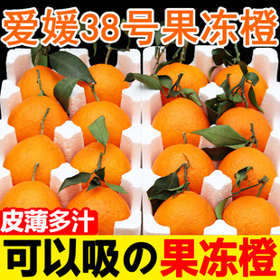 包邮 四川眉山爱媛38号果冻橙新鲜水果橙子 橘子 详情领大额补贴