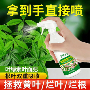 发财树专用营养液免稀释黄叶枯叶烂根专用复活液药叶绿素叶面肥料