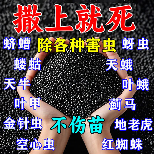 联苯噻虫胺颗粒剂地上地下虫害农药地老虎蜗牛金针虫蝼蛄黄条跳甲