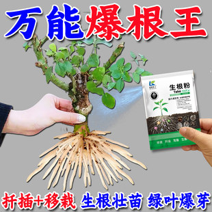 强力生根粉植物通用树木壮苗生根剂扦插移栽快速养花肥专用生根液