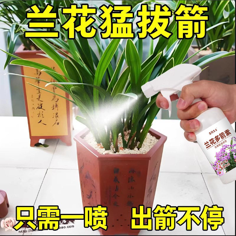 兰花多箭素爆芽素专用营养液蝴蝶兰多剑王兰灵王通用促开花肥料,鲜花速递/花卉仿真/绿植园艺,家庭园艺肥料,淘宝优惠券,粉丝福利购,淘宝优惠卷