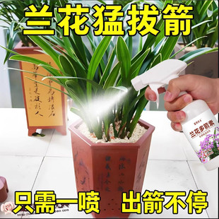 兰花多箭素爆芽素专用营养液蝴蝶兰多剑王兰灵王通用促开花肥料