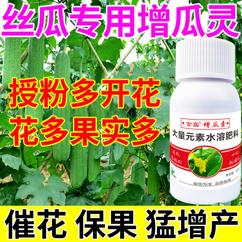 增瓜素丝瓜专用叶面肥增产增收授粉座果加粗增瓜剂拉直拉长增产剂