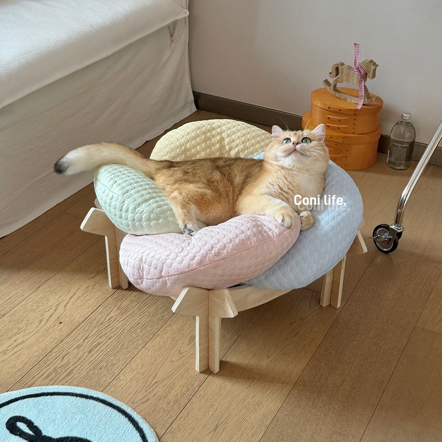 Conilife花瓣冰豆豆猫窝