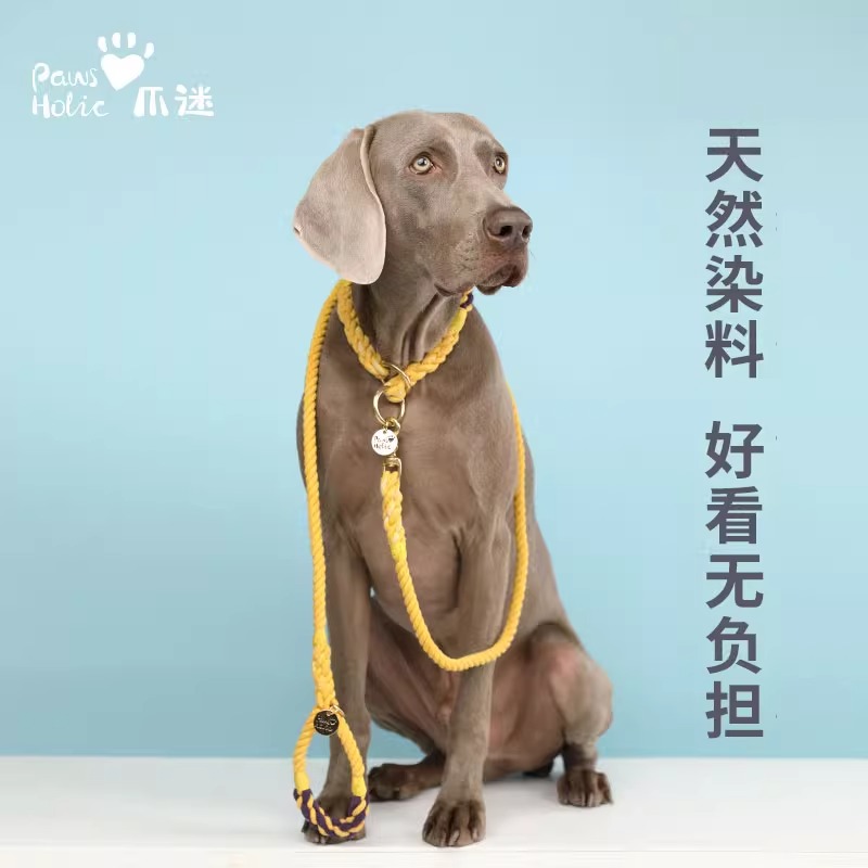 pawsholic爪迷狗狗p型中大型犬