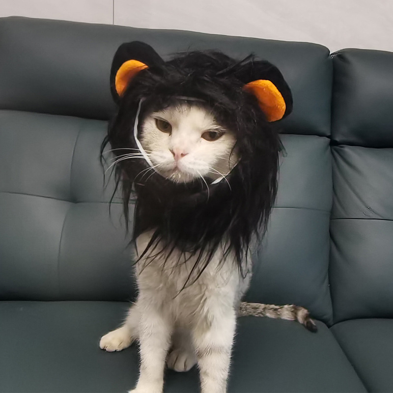 跨境厂家 头饰假发帽子 宠物狗狗猫咪头套 小狗猫猫服饰狮子头套
