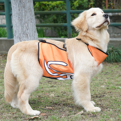 chongtapet宠物狗狗衣服防脏防水肚兜舒适居家服柯基金毛衣服