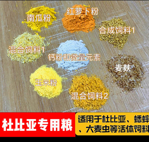 杜比亚蟑螂蟋蟀大麦虫面包虫专业爬虫宠物活体营养健康绿色饲料
