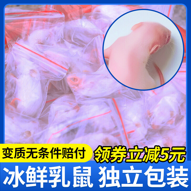 小白鼠红皮喂蛇粉皮白霜食物乳鼠冰冻宠物蛇饲料粮喂幼猫龟包邮装