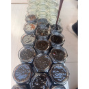 柴火熬制2025新梨第一熬 茌梨慈梨 脆甜无渣不打蜡正宗 膏 莱阳梨