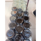 莱阳梨 脆甜无渣不打蜡正宗 柴火熬制2025新梨第一熬 膏 茌梨慈梨