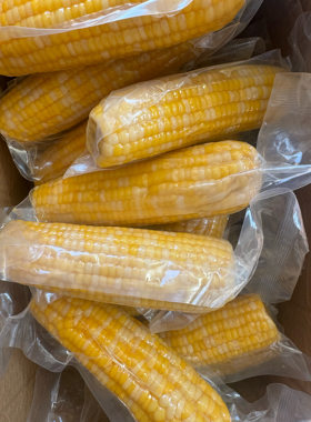 【老隋家非转基因飞花】甜糯比1比3 无添加 黄白粒 单根300g左右