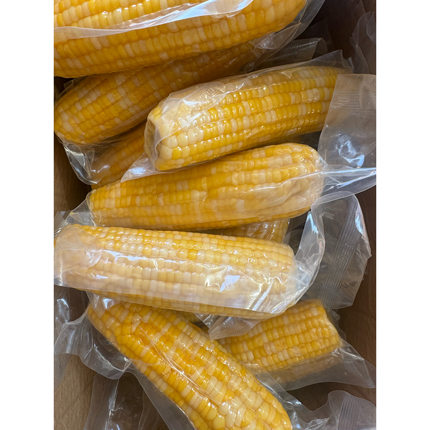 【老隋家非转基因飞花】甜糯比1比3 无添加 黄白粒 单根300g左右