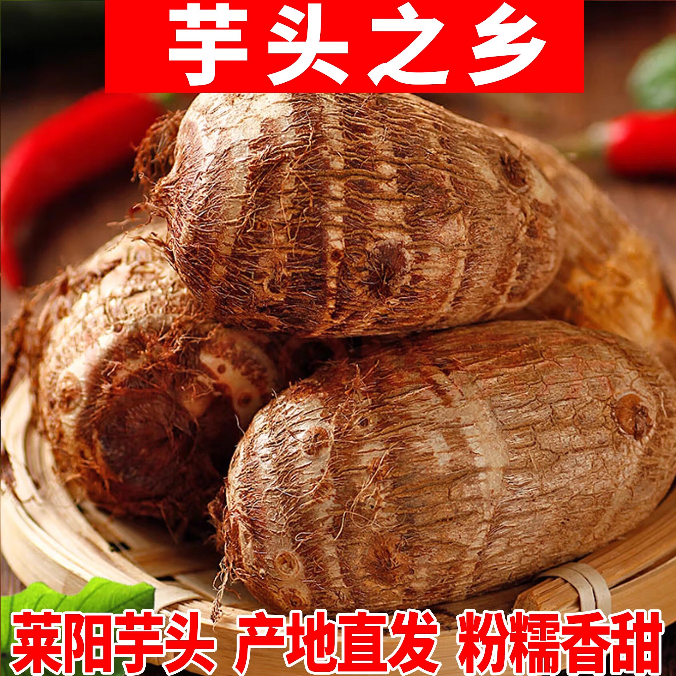 山东正宗牛奶芋头种子新鲜毛芋头正品小个芋头种苗软糯香滑整箱