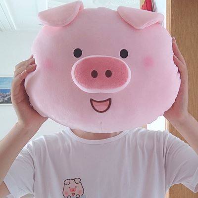 小笨猪猪头抱枕超柔 情侣生日礼物 网红猪猪靠枕玩偶