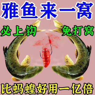 雅鱼专用饵料野钓溪流细鳞裂腹鱼冷水鱼爆护通杀打窝料诱鱼开口剂