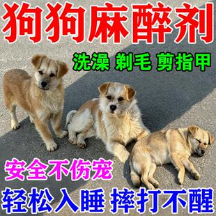 狗狗麻醉镇定剂快速睡眠强力安抚情绪剂剪指甲洗澡救助宠物镇静剂