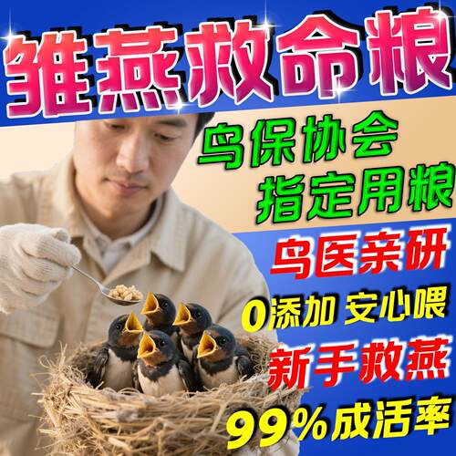 燕子食物幼鸟饲料吃的粮食燕科家燕凤头雨燕金丝燕金腰燕楼燕专用