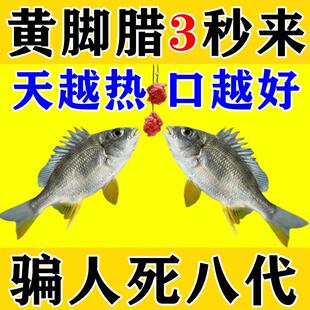 黄脚腊饵料黄鳍鲷专用海钓神器春夏季黄脚立黑鲷鱼饵鱼饵一包搞定