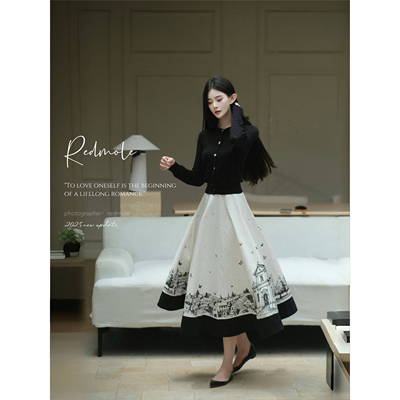 Redmole【画境巴黎】100纯棉｜原创印花｜挺阔感半身大摆裙半身裙