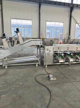 杨梅不伤果滚杠分级机果蔬分选机 圣女果分选设备 荔枝清洗分级机