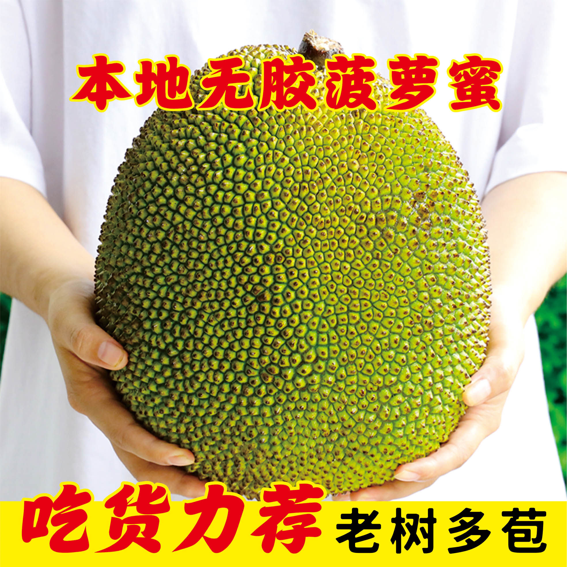 【无胶菠萝蜜】化州特产珍珠菠萝蜜干苞脆甜果园直发应季热带水果