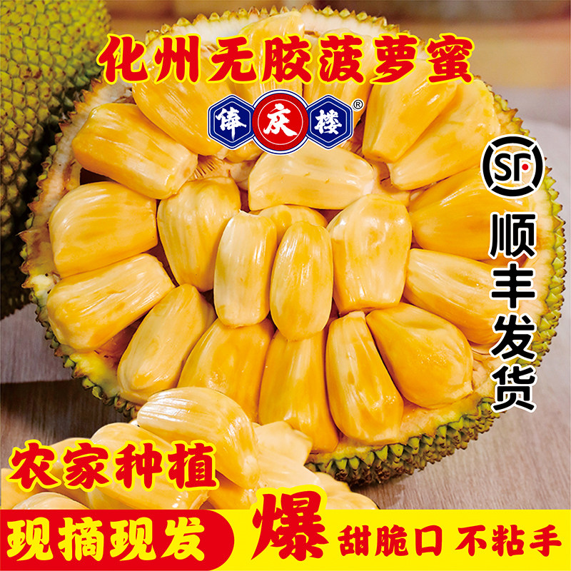 菠萝蜜顺丰包邮化州无胶菠萝蜜黄肉干包茂名珍珠菠萝蜜一整个